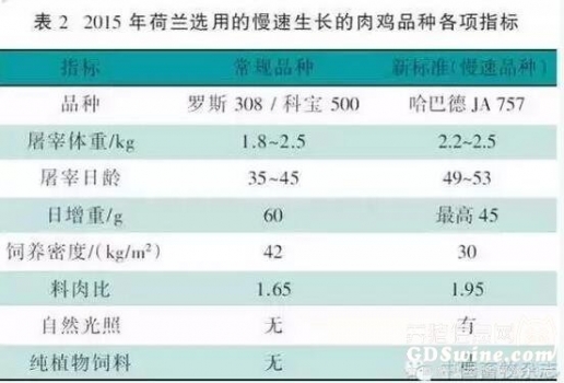 抗5.jpg