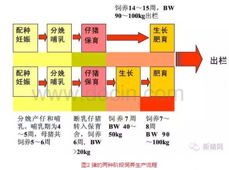 王4.jpg
