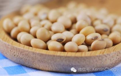 豆油與棕櫚油、牛油、白脂膏和其它脂肪的對比