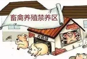 農(nóng)業(yè)部：部分地區(qū)劃定禁養(yǎng)區(qū)沒有嚴格落實有關(guān)規(guī)定