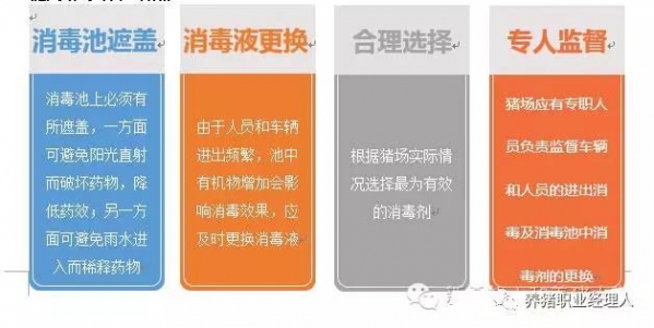 前沿技術(shù) | 豬場成功實(shí)現(xiàn)偽狂犬凈化的關(guān)鍵措施