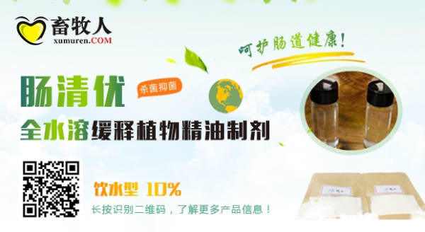 腸清優(yōu)（10%）.jpg