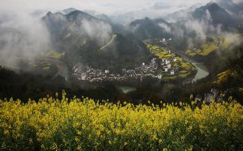 2013年04月09日豆粕價格行情