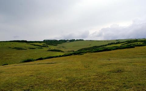 關(guān)于征求《關(guān)于停止喹乙醇、氨苯胂酸、洛克沙胂用于食品動物的公告》（征求意見稿)