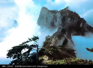 農(nóng)業(yè)部表態(tài)：東北地區(qū)生豬發(fā)展需加強產(chǎn)業(yè)鏈整合及建設(shè)